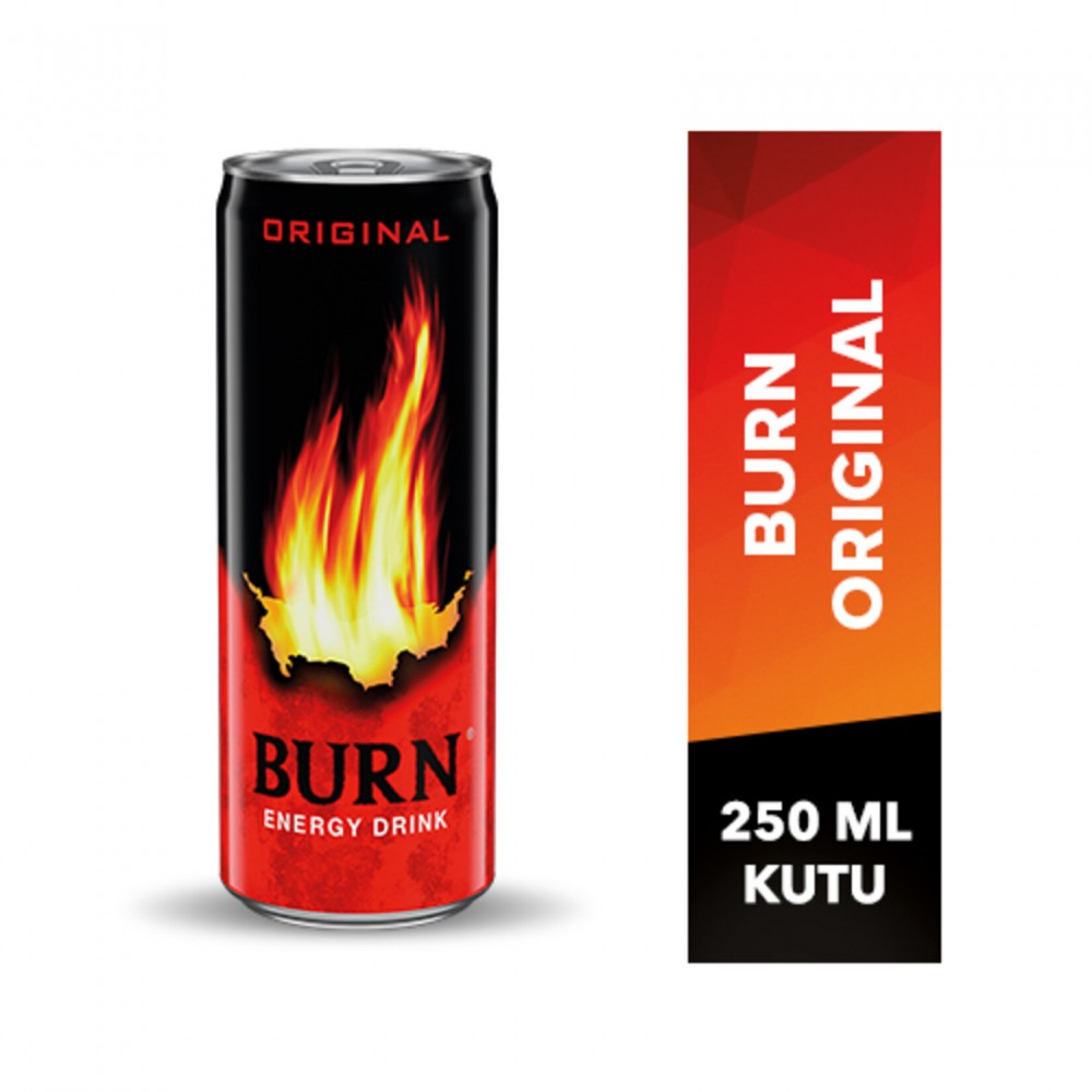 Burn Enerji İçeceği 250 ML