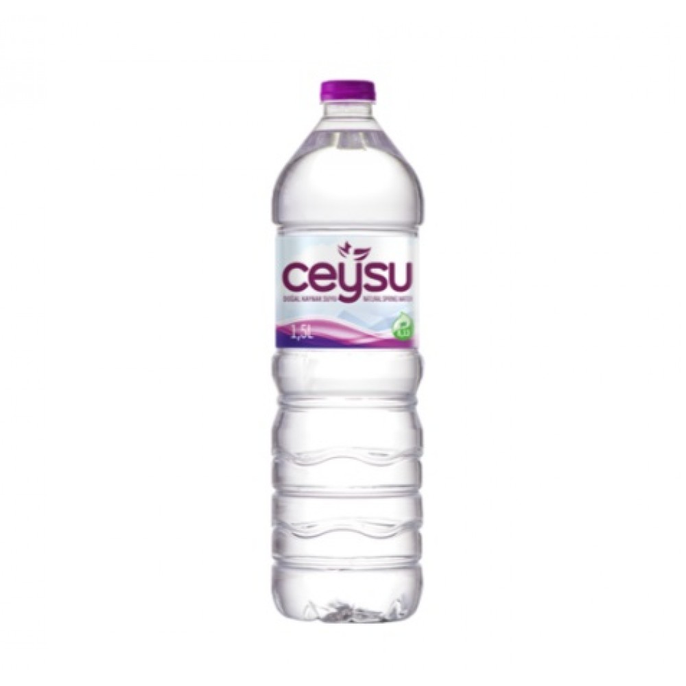 Ceysu 500 Ml